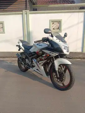 Kawasaki Ninja RR 2014 Super Kips