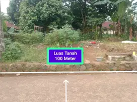Jual tanah kebun murah Kemang parung bgr