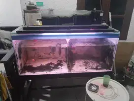 Aquarium  filter atas