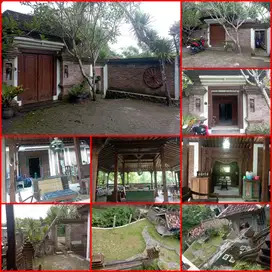 Rumah etnil jawa jalan kaliurang KM 9 tanah luas strategis