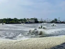 TANAH MURAH DI PALANG TUBAN