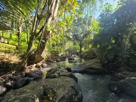 Dijual tanah di bali los sungai dengan view exotik jugle