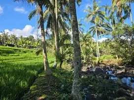 Dijual tanah sudah asfek dengan view sawah dan los sungai di bali