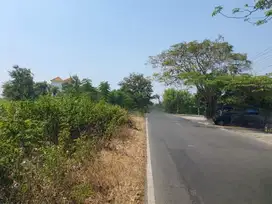 TANAH SEKARGADUNG SIDOMULYO GRESIK 97389 ASSET BANK, CASH ONLY
