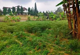 TANAH KETAPANRAME MOJOKERTO 14582 ASSET BANK, CASH ONLY