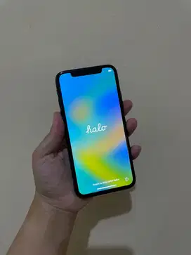 iPhone X 256GB ex inter (unit only)