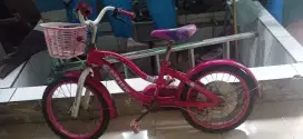 Pasifik astina ban 20