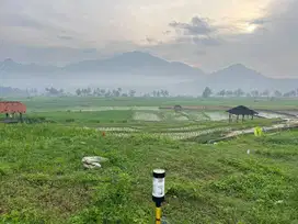 Jual tanah kavling dengan harga terjangkau