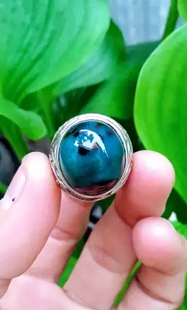BACAN DOKO TOTOL NATURAL LAWASAN