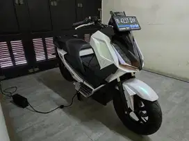 ALVA CERVO 2023