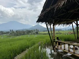 Jual tanah kavling dengan view penggunungan