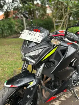 Kawasaki Z250 2013