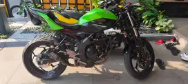 Ninja 250 RR/SL Mono Cover Ke Z250SL --SPESIAL-- Fairing dpt 2 set