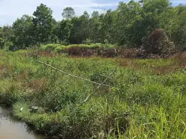 Tanah APL - Luas ±175 Ha di Jorong, Kalsel
