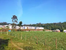 Tanah kapling promo murah belakang kampus UMM