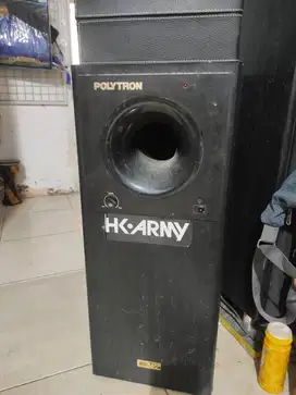 Subwoofer BigBazz Polytron