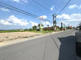 Termurah, Tanah Sleman Tepi Jalan SHM Pekarangan