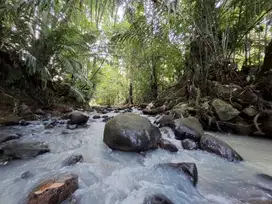Dijual tanah cantik los sungai dan view sawah di tabanan bali
