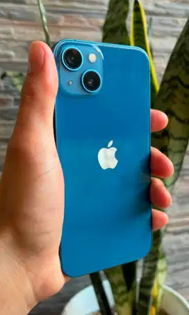 iPhone 13 256gb biru
