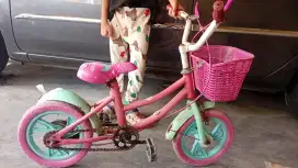 Dijual cepat segeea murah meriah SEPEDA ANAK PEREMPUAN upto 5th