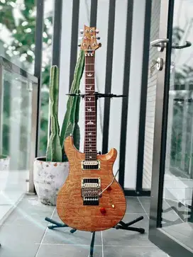 PRS SE CUSTOM 24 FLYOD Exotic Swamp Ash