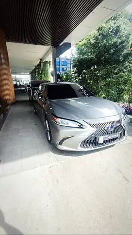 All New Lexus ES300H Hybrid 2020 Ultra Luxury