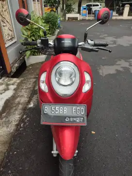 Scoopy Stylis 2021