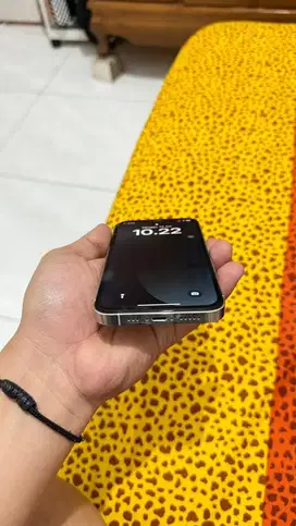 Iphone 12 Pro -128 inter