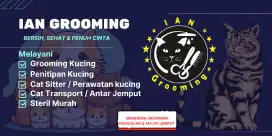 Grooming kucing panggilan/Antar jemput, penitipan,steril murah/subsidi
