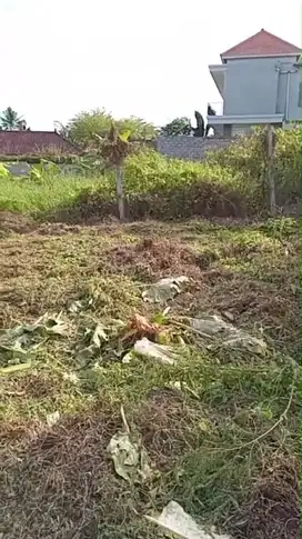 Tanah BUC Penebel - Tabanan