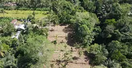 Tanah Murah Kavling Payangan Ubud