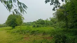 dijual cepat tanah