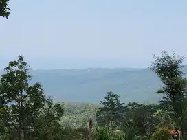 Tanah full view laut, Boleh ambil 6000m2 di Singaraja