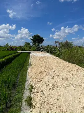tanah Plot Kecil Dekat Pantai Seseh Cemagi Bali