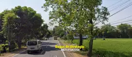 (AD) Tanah Istimewa LD 124 mtr, Jl Raya Propinsi Madiun-NGAWI