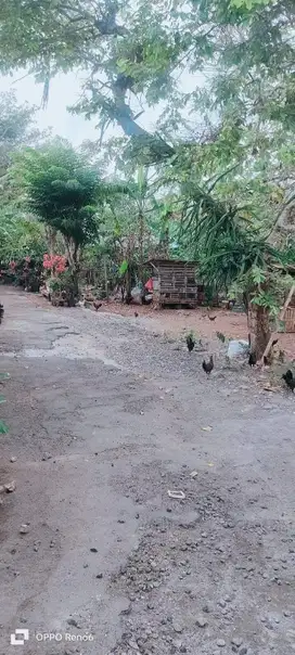 Dijual Tanah lokasi di jalan bukit Hijau, Jimbaran