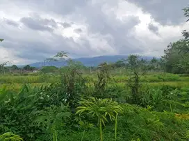 Tanah Pekarangan Murah Pinggir Jalan Lawu Karangpandan Karanganyar