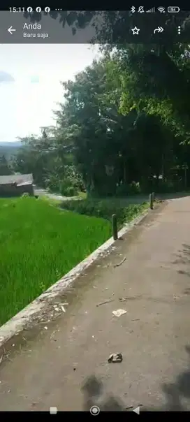 Tana view sawah asri selatan pasar kenteng harga termurah.