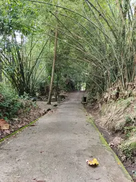 Dijual tanah di kawasan nyitdah kediri tabanan bali. 
