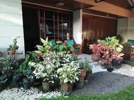 Rumah Cantik Terawat Metro Margahayu Raya