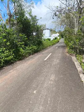 Tanah 300m2 cocok untuk Villa - Ungasan