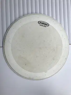 Drum Head EVANS, Snare 14