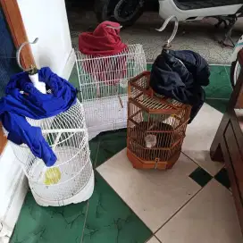 Kandang burcil bekas borongan