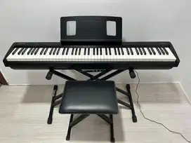 Digital Piano Roland FP-10