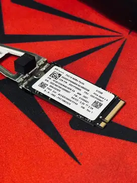 SSD 512GB (Copotan Legion Go S)
