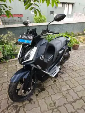 Alva Cervo 2023