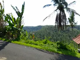 Lahan sudah konsep vila view lembah dan laut di sawe jembrana