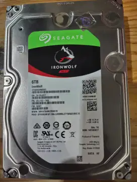 Seagate Ironwolf NAS 6 TB