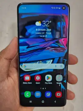 Samsung Galaxy S10 SEIN Mulus