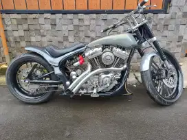 Harley Davidson Costem